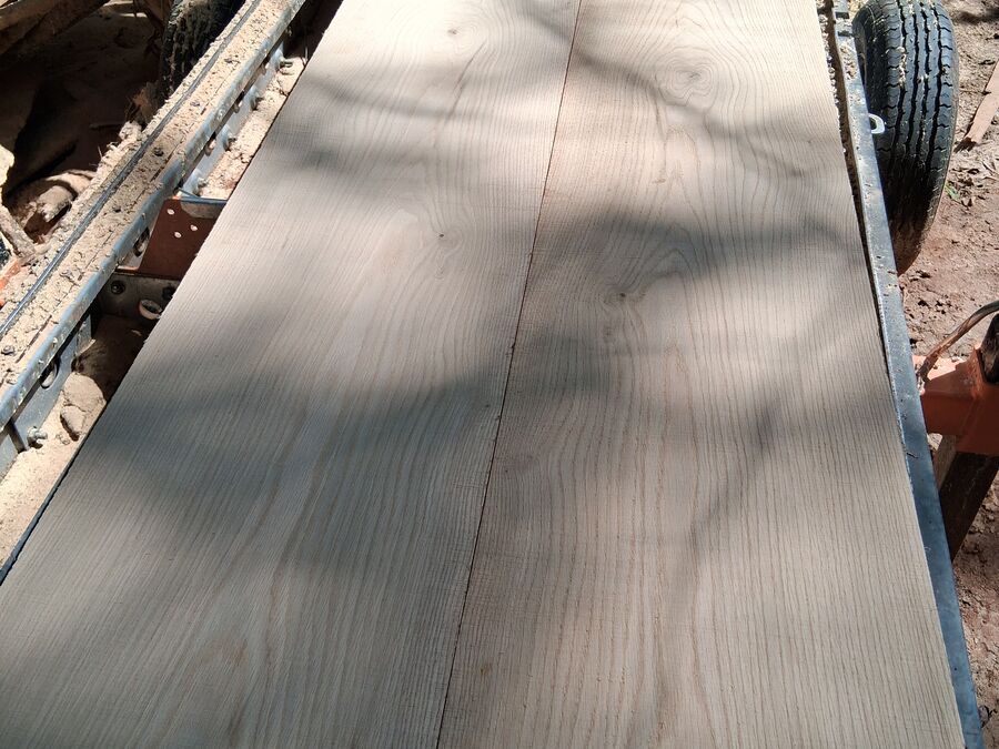 White oak timber