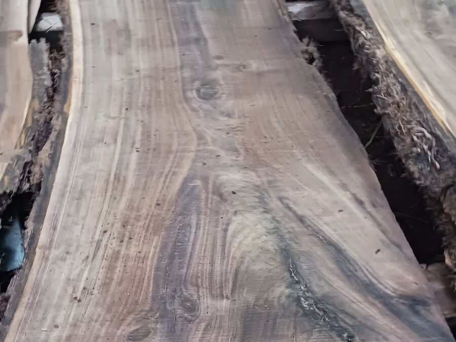 Black walnut slab