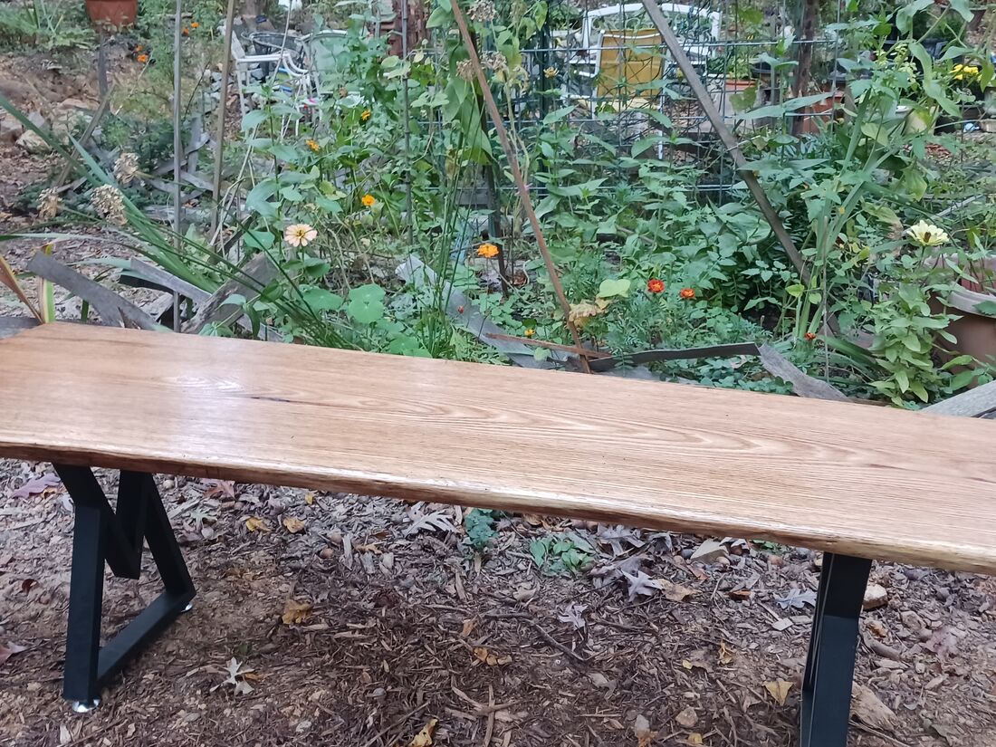 Live edge bench on black steel legs in a garden